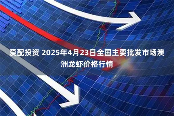 爱配投资 2025年4月23日全国主要批发市场澳洲龙虾价格行情