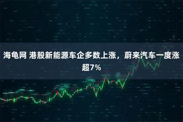 海龟网 港股新能源车企多数上涨，蔚来汽车一度涨超7%
