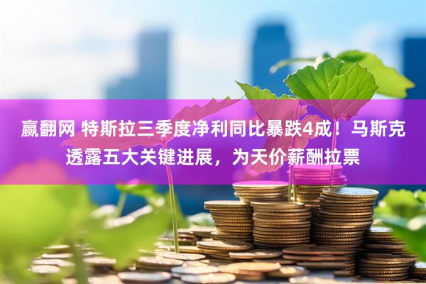 赢翻网 特斯拉三季度净利同比暴跌4成！马斯克透露五大关键进展，为天价薪酬拉票