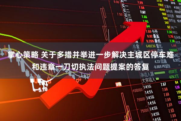 掌心策略 关于多措并举进一步解决主城区停车难和违章一刀切执法问题提案的答复