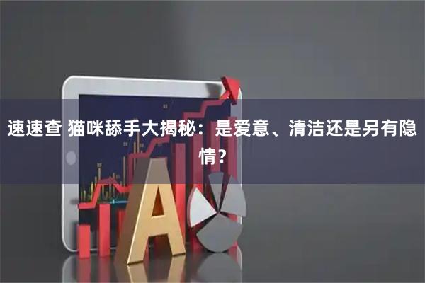 速速查 猫咪舔手大揭秘：是爱意、清洁还是另有隐情？