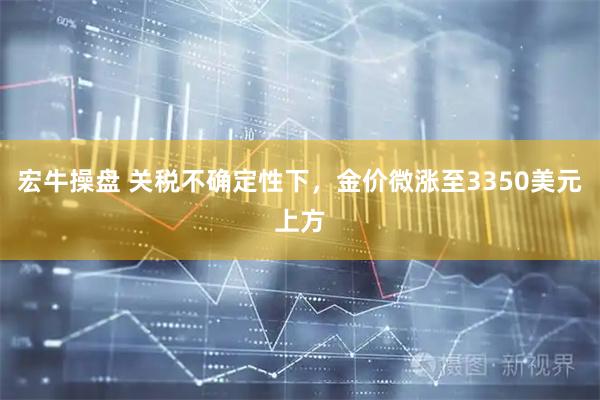 宏牛操盘 关税不确定性下，金价微涨至3350美元上方